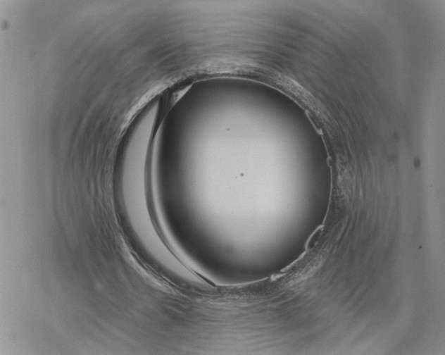 X0000078270530200611251355