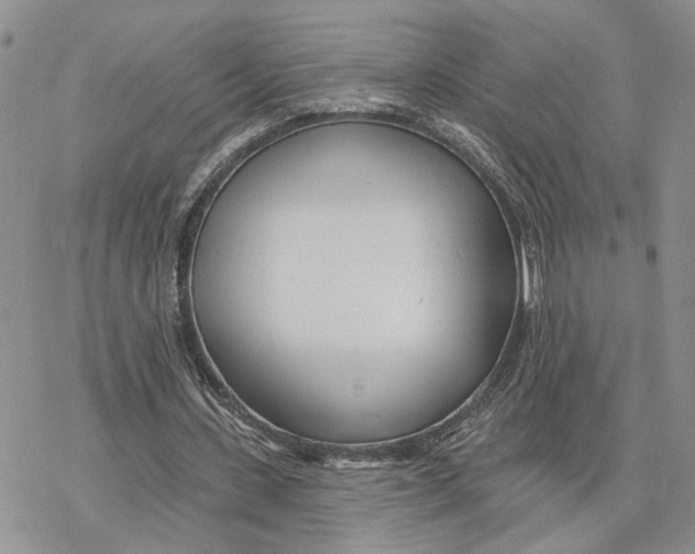 X0000078270531200611251355