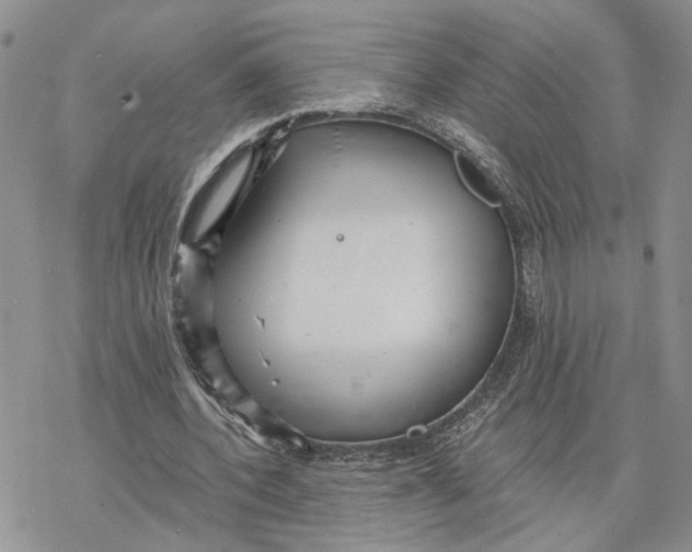 X0000078270532200611251355