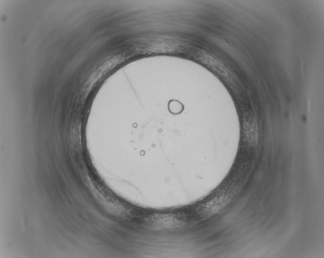 X0000078270534200611251356