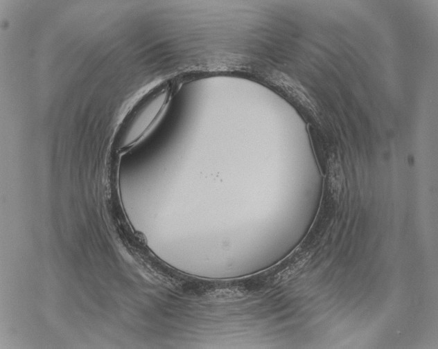 X0000078270536200611251356