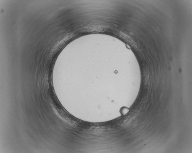 X0000078270538200611251356