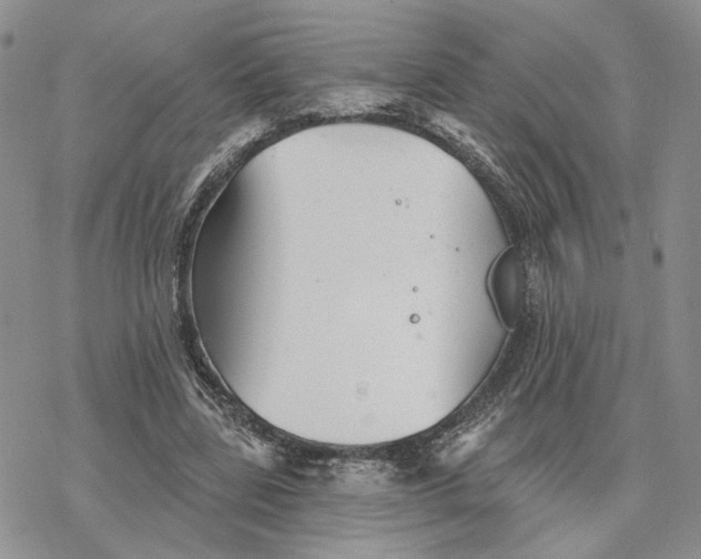 X0000078270539200611251356