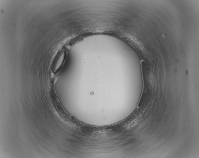 X0000078270540200611251356