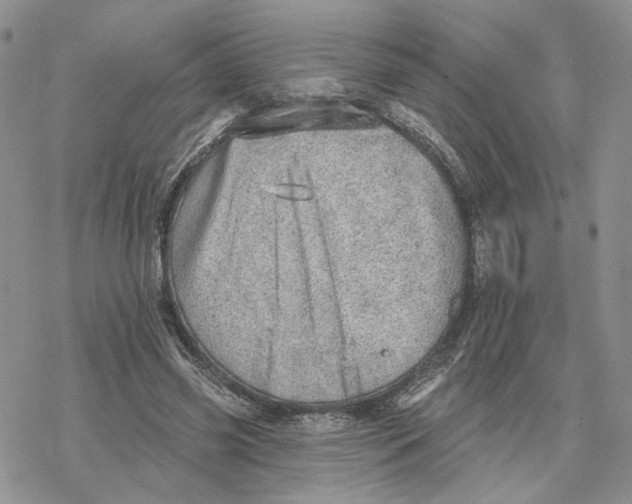 X0000078270541200611251356