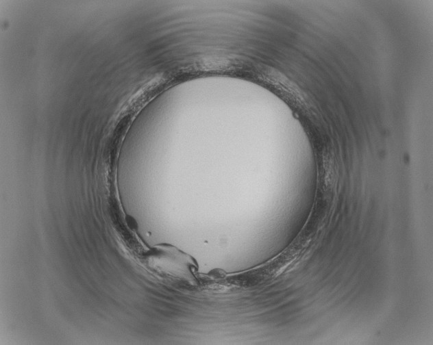 X0000078270542200611251356