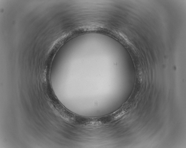 X0000078270543200611251356