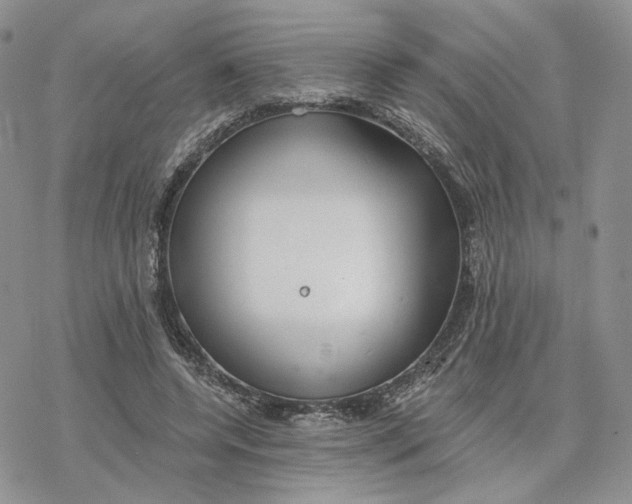 X0000078270544200611251356