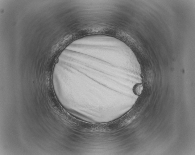 X0000078270545200611251356