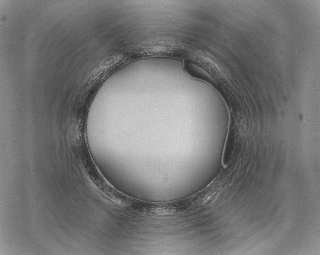 X0000078270546200611251356