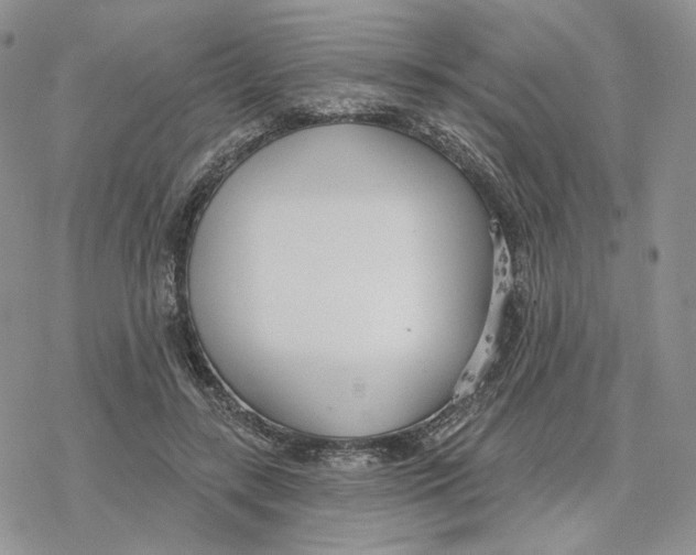 X0000078270547200611251356