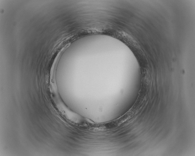 X0000078270548200611251356