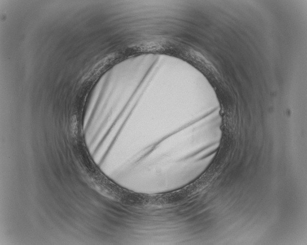 X0000078270549200611251356