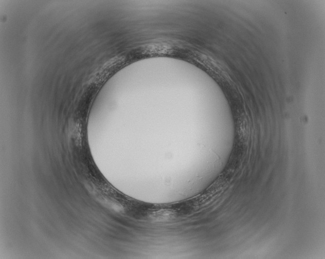 X0000078270551200611251356