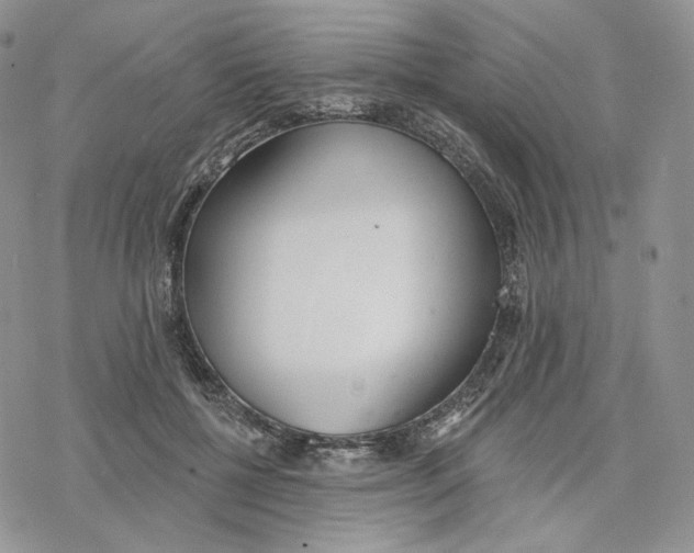 X0000078270552200611251356