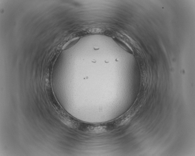 X0000078270553200611251356