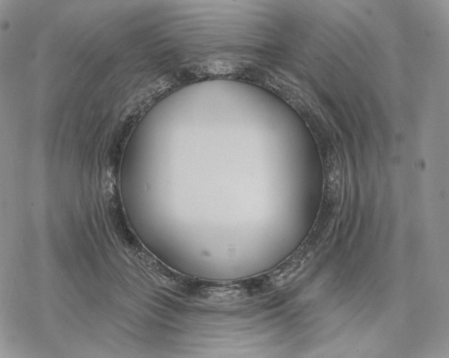 X0000078270555200611251356