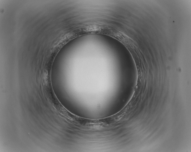 X0000078270556200611251356