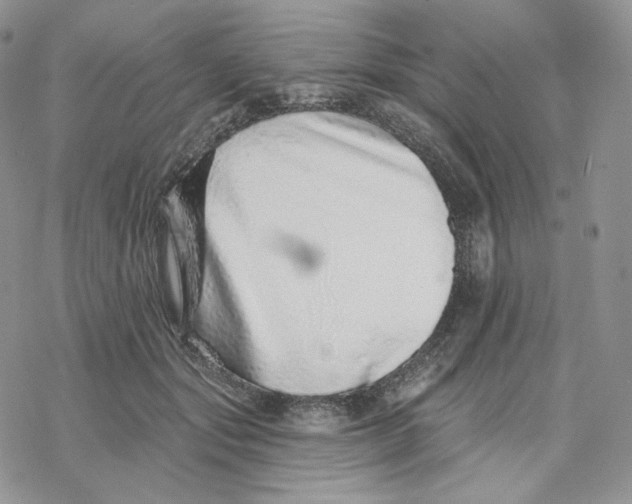 X0000078270557200611251356