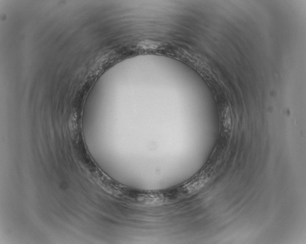 X0000078270559200611251356