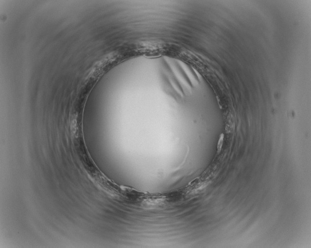 X0000078270560200611251356