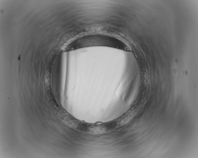 X0000078270561200611251356