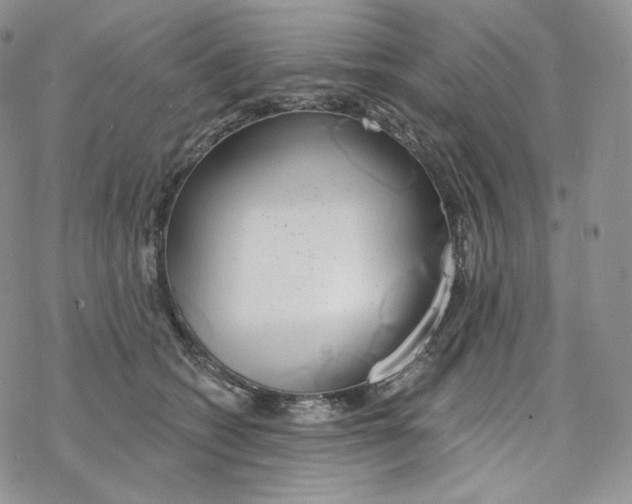 X0000078270562200611251356