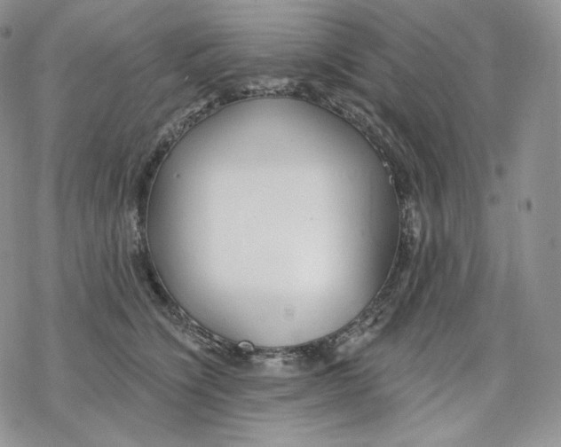 X0000078270564200611251356