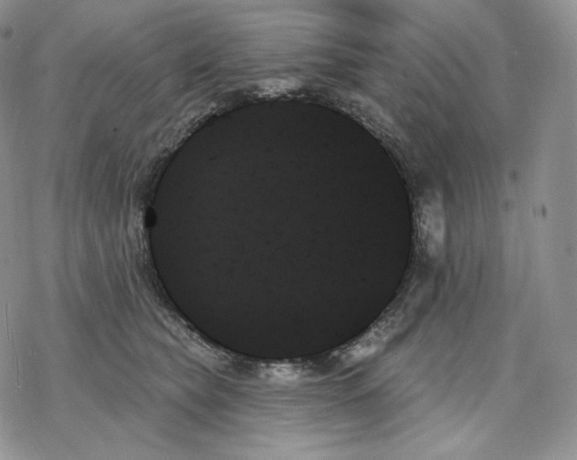 X0000078270565200611251356