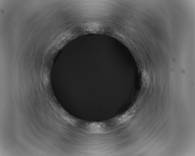 X0000078270566200611251356