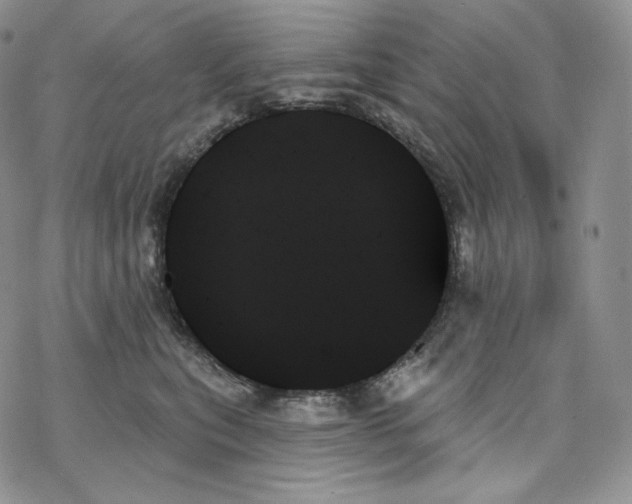 X0000078270567200611251356