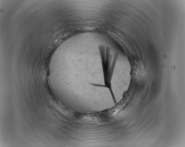 X0000078270568200611251356