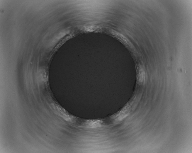 X0000078270569200611251356