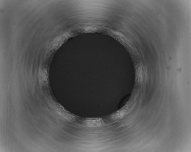 X0000078270571200611251356