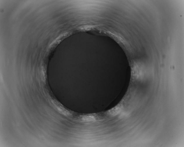 X0000078270572200611251356