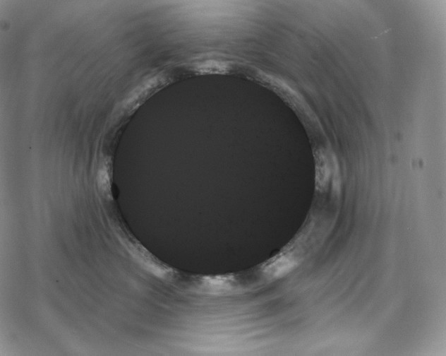 X0000078270573200611251356