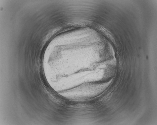 X0000078270578200611251355