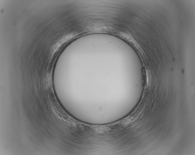 X0000078270579200611251355