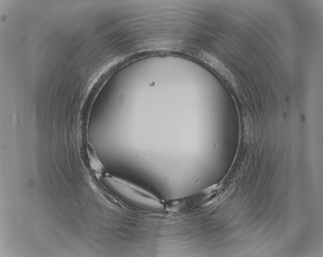 X0000078270580200611251355