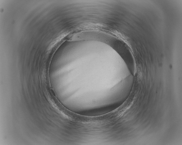 X0000078270581200611251355