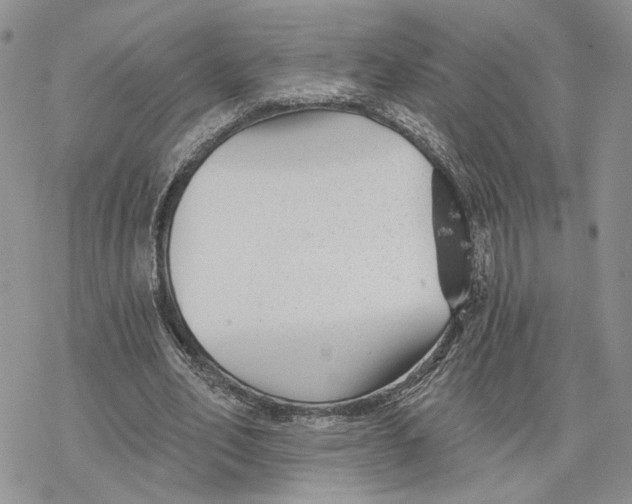 X0000078270582200611251355