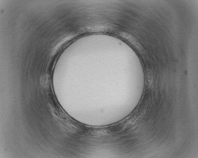 X0000078270583200611251355