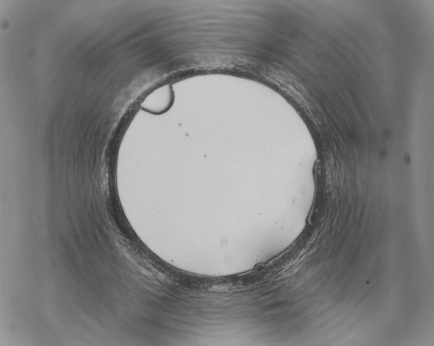 X0000078270584200611251355