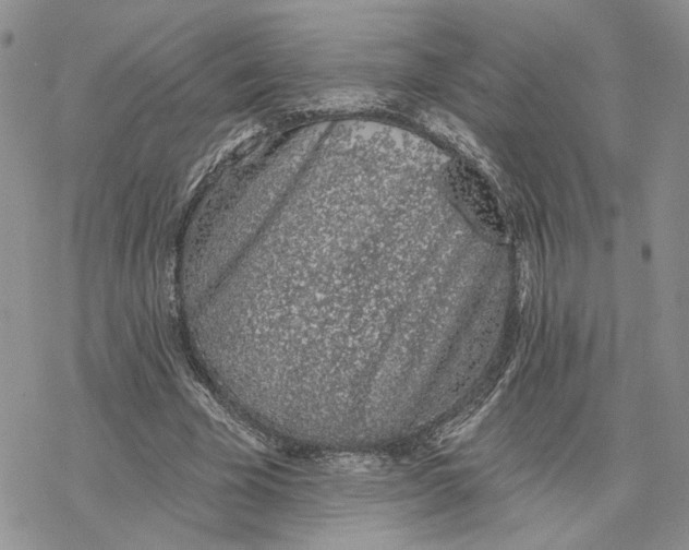 X0000078270585200611251355