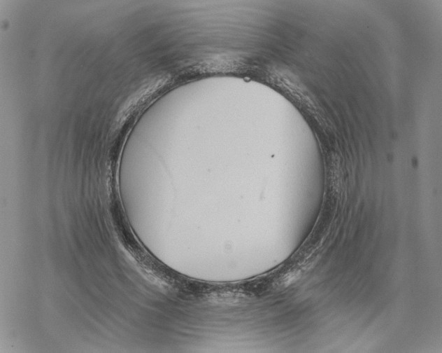 X0000078270586200611251355