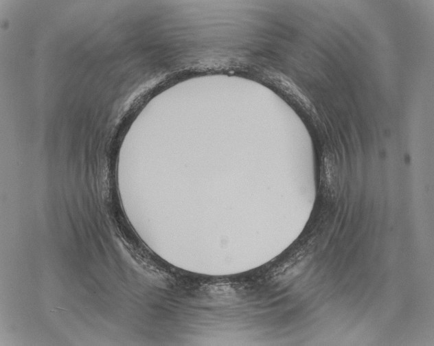 X0000078270588200611251355