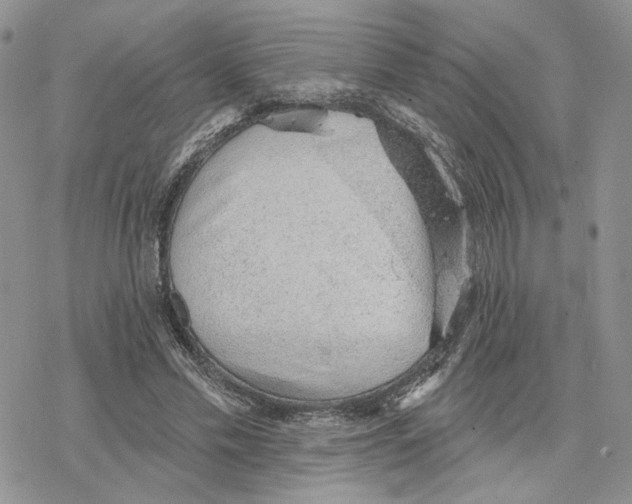 X0000078270589200611251355