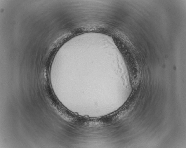 X0000078270590200611251355