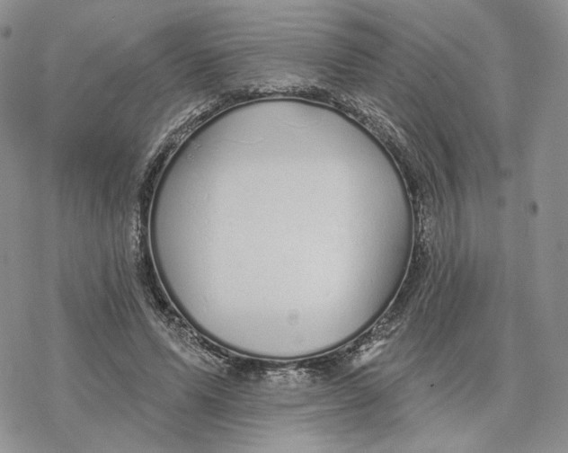 X0000078270591200611251355