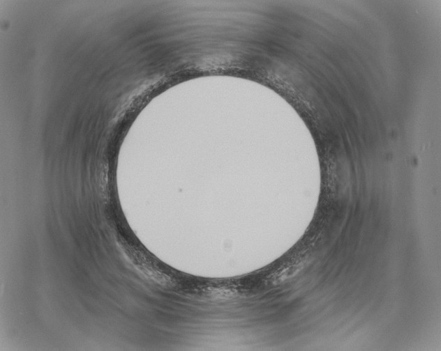 X0000078270592200611251355